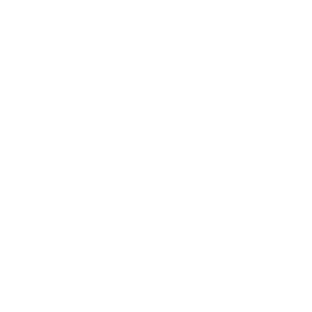 LOGO SDMx5 BLANC