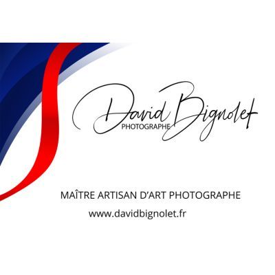 david bignolet photographe logo salon du mariage vannes