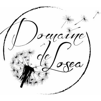 Domaine de lose logo salon du mariage nantes